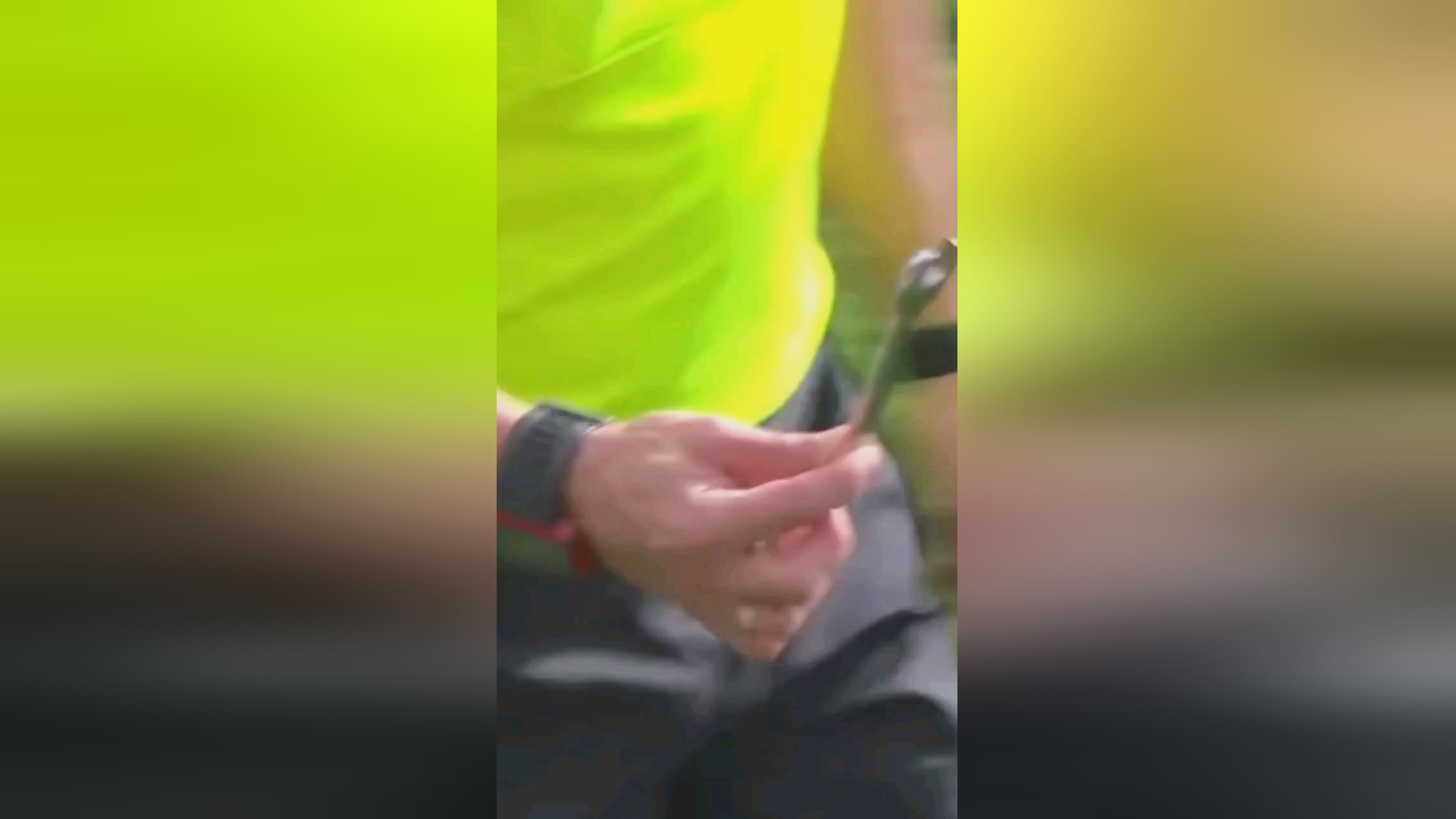 定意大